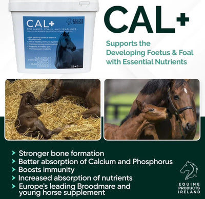 Equine Products Ireland