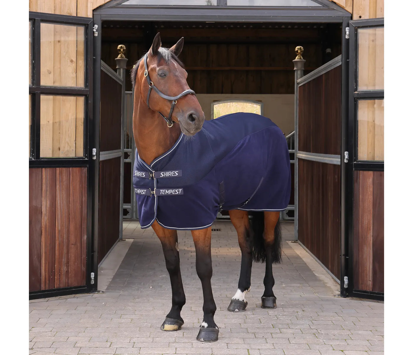 Shires Tempest All-Season Air Motion Cooler 10241