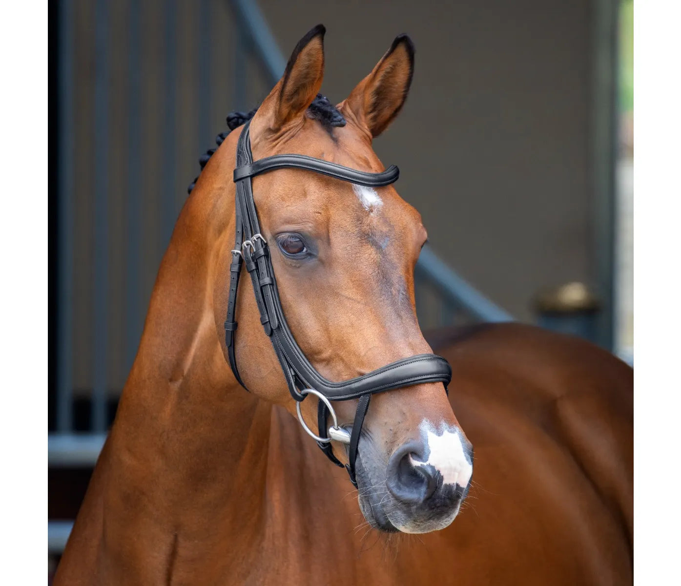 Shires Lusso Ergonomic Flash Velociti Bridle 5097