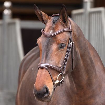 Shires Velociti Lusso Elite Flash Bridle 5131