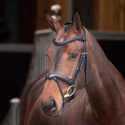 Shires Velociti Lusso Elite Flash Bridle 5131