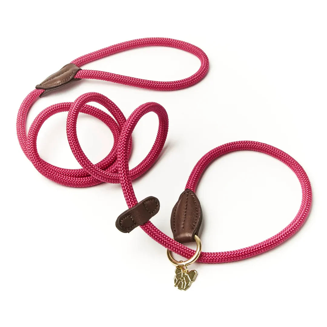 Digby & Fox Fine Rope Slip Lead