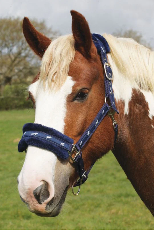 Shires Fluffy Adjustable Nylon Headcollar - Navy 326