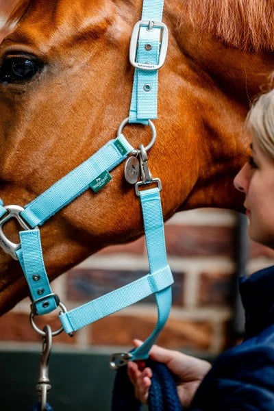 Horseware Signature Field Safe Headcollar - Blue Haze