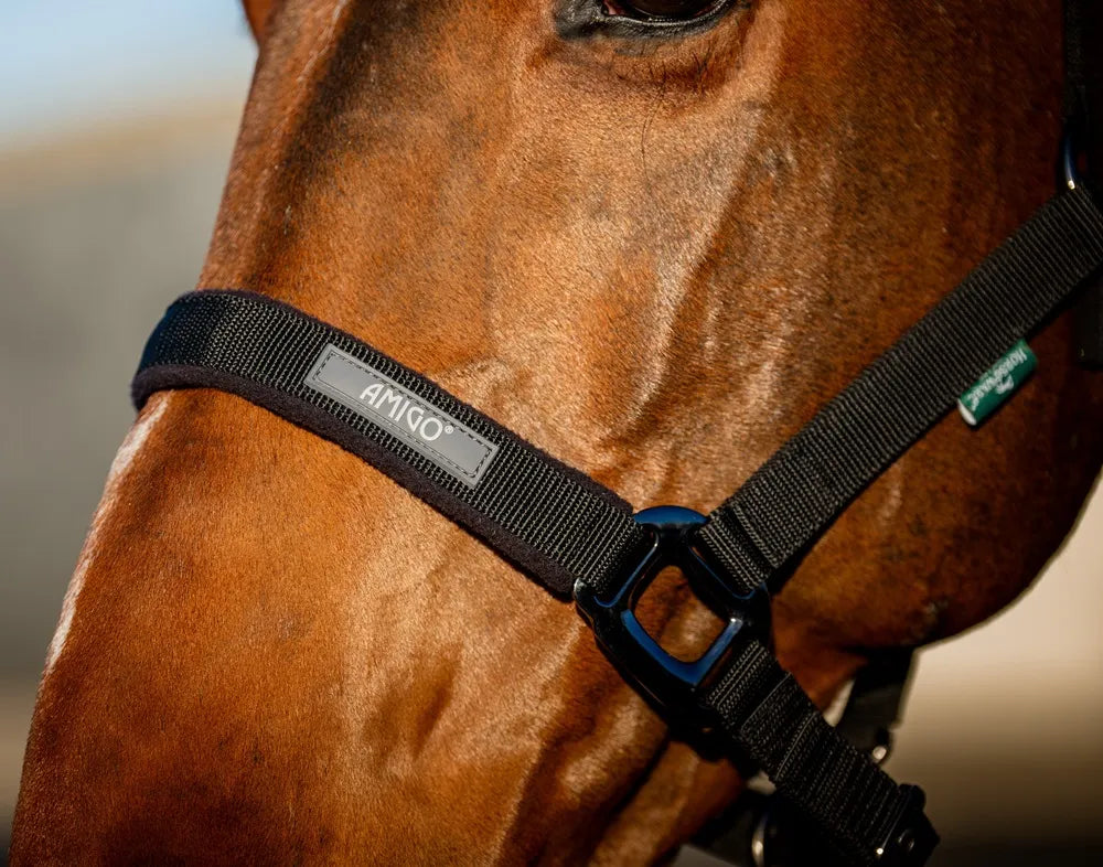 Horseware Amigo Headcollar & Leadrope Set - Black