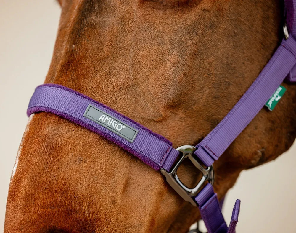 Horseware Amigo Headcollar & Leadrope Set - Winterberry