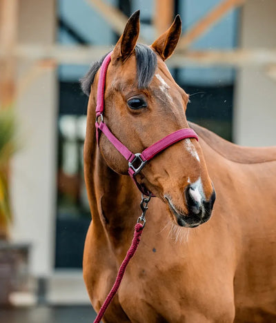 Horseware Amigo Headcollar & Leadrope Set - Mulberry