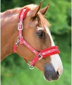 Shires Fluffy Adjustable Nylon Headcollar - Red 326