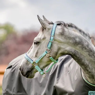 Horseware Signature Field Safe Headcollar - Blue Haze