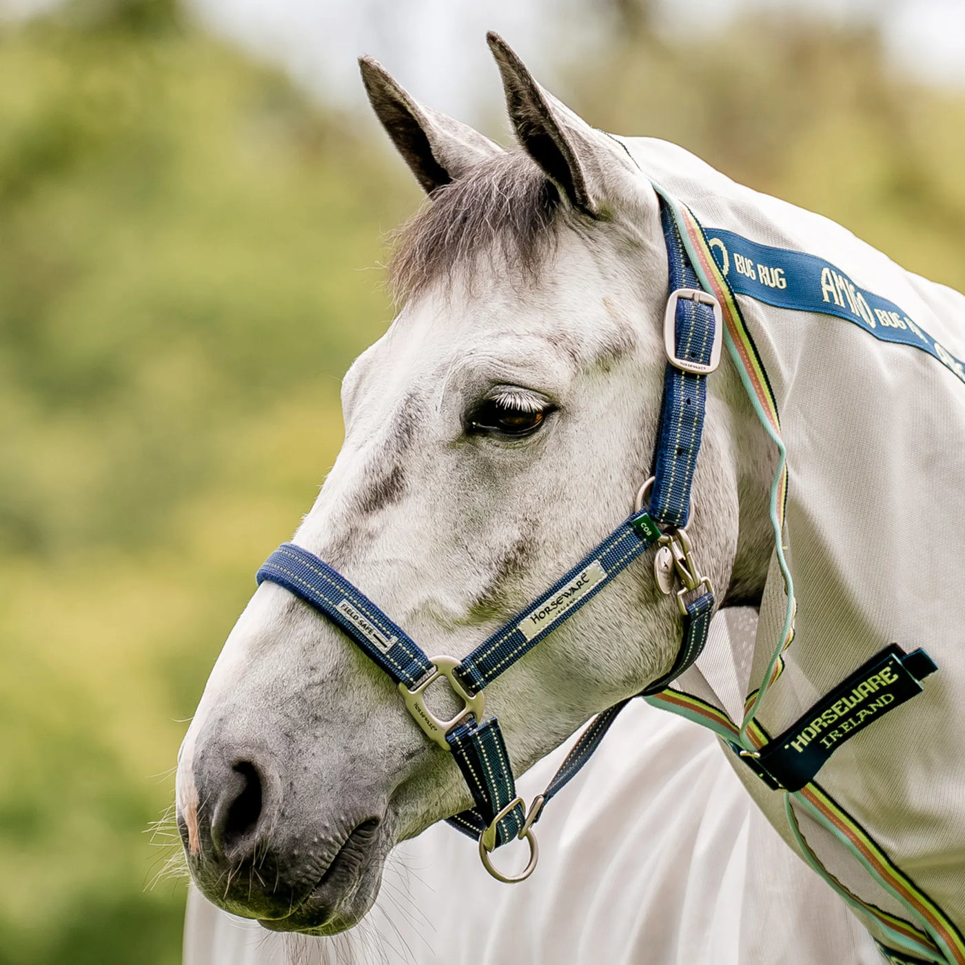 Horseware Signature Field Safe Headcollar - Navy