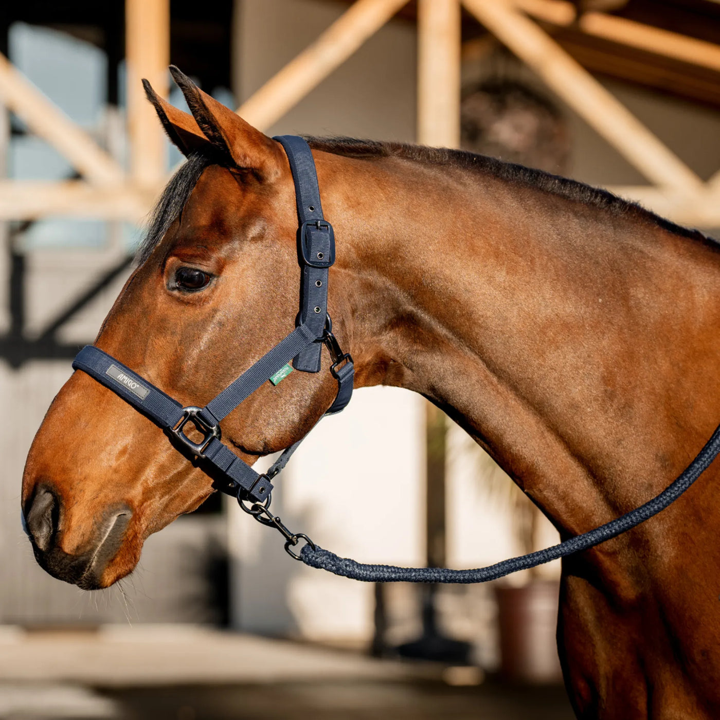 Horseware Amigo Headcollar & Leadrope Set - Navy