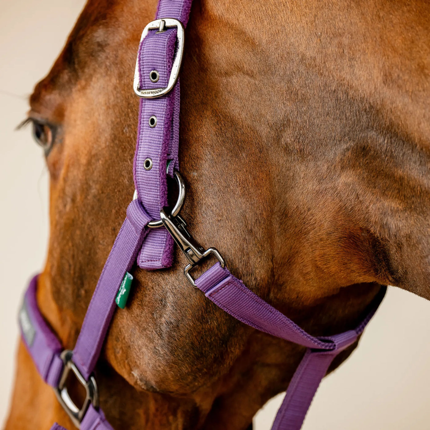 Horseware Amigo Headcollar & Leadrope Set - Winterberry