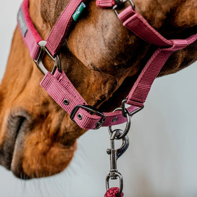 Horseware Amigo Headcollar & Leadrope Set - Mulberry