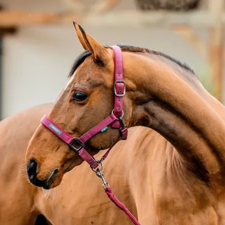 Horseware Amigo Headcollar & Leadrope Set - Mulberry