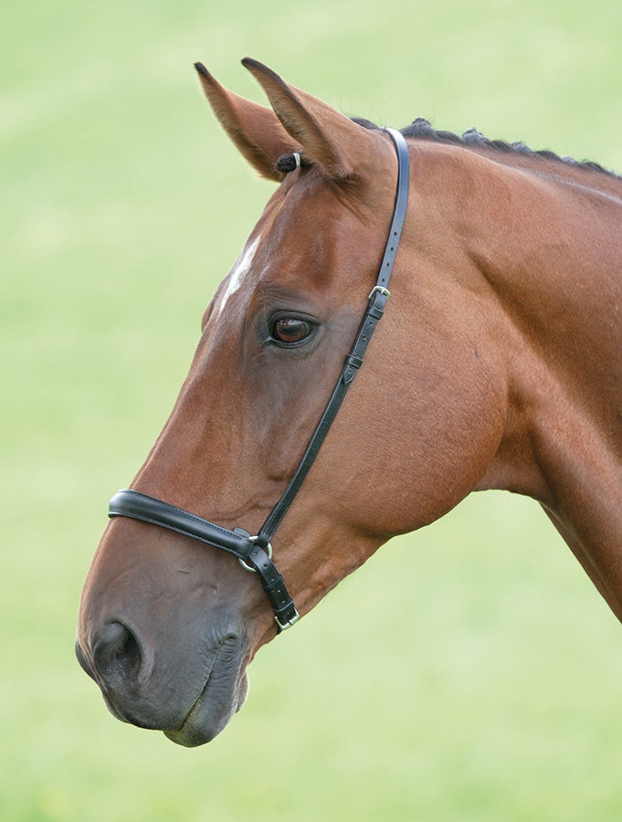 SHIRES Drop noseband